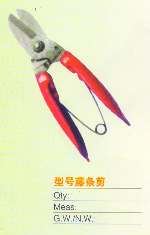 Ŵ